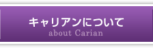 キャリアンについて