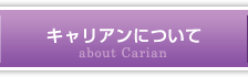 キャリアンについて